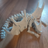 Knochen-Drache – Bild 8